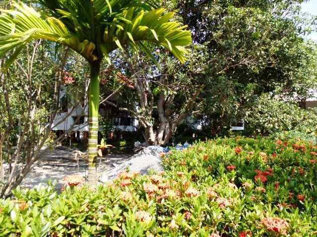 מלון קופנגן Baan Suan Tongma מראה חיצוני תמונה