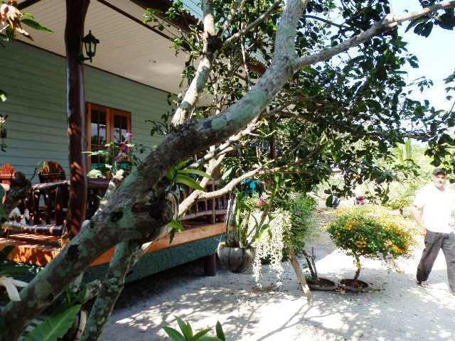 מלון קופנגן Baan Suan Tongma מראה חיצוני תמונה